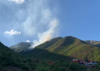 Digjen hektarë me pyje e kullota, zjarrfikësit kërkojnë…