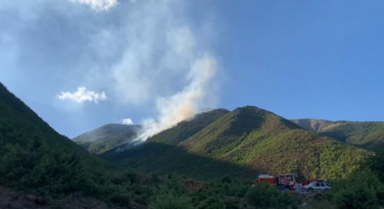 Digjen hektarë me pyje e kullota, zjarrfikësit kërkojnë…