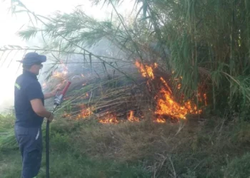 Zjarr nga pakujdesia, digjen 4 mijë dengje bari dhe toka të mbjella
