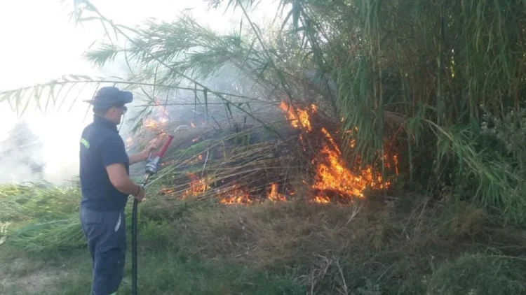 Zjarr nga pakujdesia, digjen 4 mijë dengje bari dhe toka të mbjella