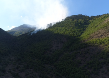 Shuhet vatra e zjarrit që dogji dhjetëra hektarë pyje në Bulqizë