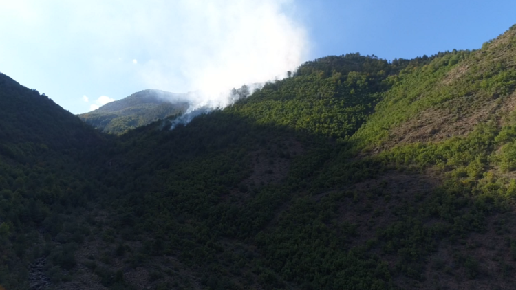 Shuhet vatra e zjarrit që dogji dhjetëra hektarë pyje në Bulqizë