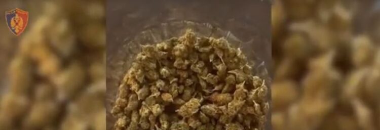 U kap duke shitur kanabis me doza, arrestohet i riu në Divjakë