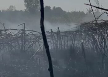 Aktivizohen tre vatra zjarri në Marinzë, rrezikohen banesat pranë