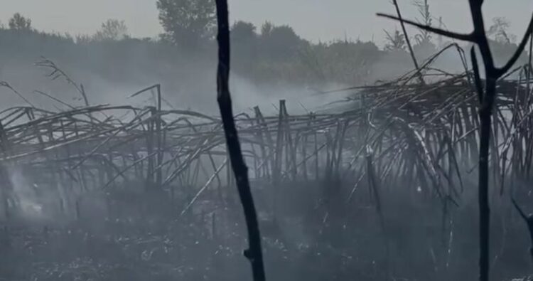 Aktivizohen tre vatra zjarri në Marinzë, rrezikohen banesat pranë