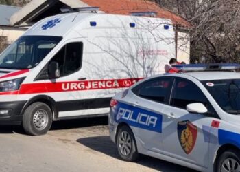 Humbi jetën teksa po priste degët e pemëve, bien në pranga dy persona