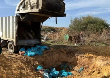 Asgjësohen rreth 2000 kg mish me afat të skaduar