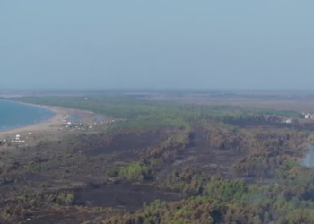 Zjarret në Pishë Poro dhe pasojat afatgjata