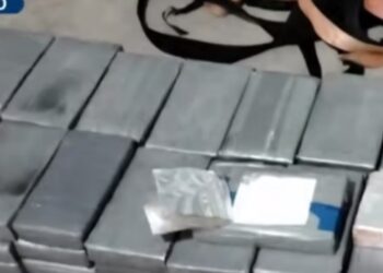 Kreu i grupit njihej si “Baba” dhe furnizonte mafien shqiptare, shkatërrohet banda e drogës në Peru