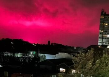 FOTO/ Fenomen i pazakontë në Angli, çdo gjë vishet në rozë