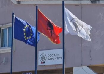 3 automatikë dhe 1 pistoletë në makinë, një i arrestuar në Kapshticë