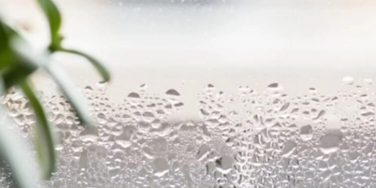 Si të zhdukni përgjithmonë lagështirën nga banesa juaj