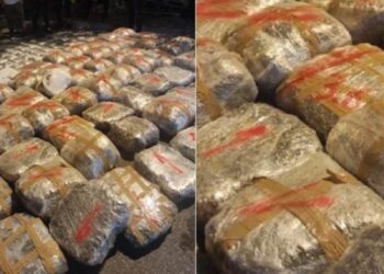 Policia gjermane sekuestron 240 kg kokainë, 3 shqiptarë në pranga