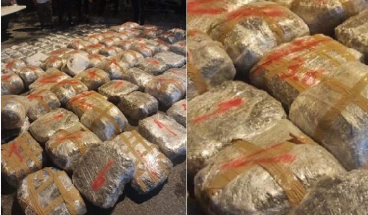 Policia gjermane sekuestron 240 kg kokainë, 3 shqiptarë në pranga