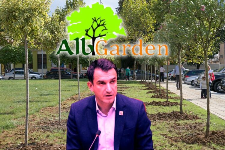 Denoncoi tenderët e pemëve të Veliajt, ja hakmarrja e kryebashkiakut ndaj Pjetër Trashajt