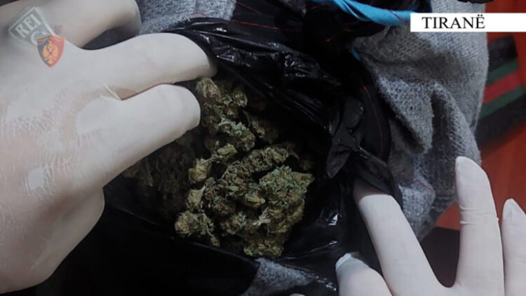 Shisnin kanabis në Kamëz dhe Vorë, në pranga dy shpërndarësit