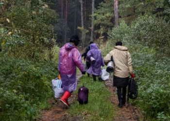 Afgani i plagosur në Malësi të Madhe: Na sulmoi një grup shqiptar