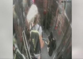 ‘E maskuar si vullnetare’, gruaja merr qentë e rrugës për t’i dhunuar (VIDEO)