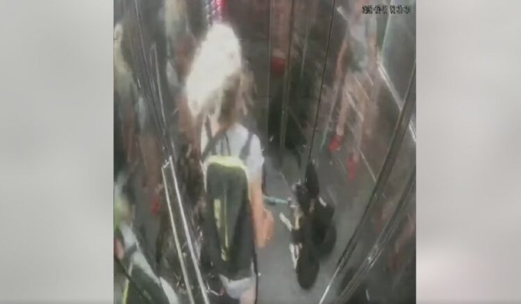 ‘E maskuar si vullnetare’, gruaja merr qentë e rrugës për t’i dhunuar (VIDEO)