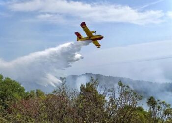 Zjarri në Pishë Poro, Greqia dërgon një avion Canadair