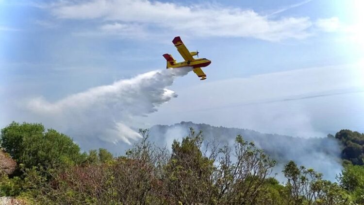 Zjarri në Pishë Poro, Greqia dërgon një avion Canadair