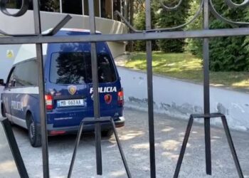 Dhunuan me shkopinj 14-vjeçarin, lihen në burg dy adoleshentët