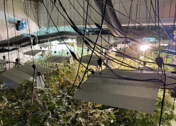 “Pastrim parash, dhunë e trafikim njerëzish”, ja akuzat që përballen shqiptarët në Britani. Raporti