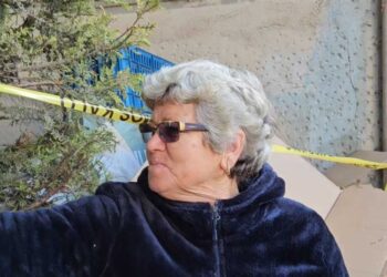 Plagosja në Korçë, dëshmitarja: Erdhi me vrap dhe e goditi me sopatë