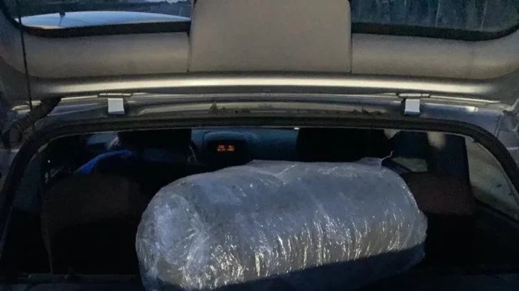 Kapet thesi me drogë në Greqi, bien në pranga dy shqiptarët