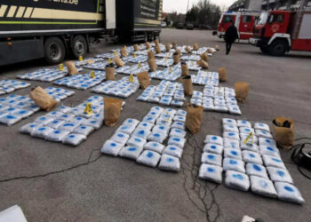 U zbuluan nga “SKY”, serbët blinin marjuanën e mbjellë në Shqipëri/ Detajet