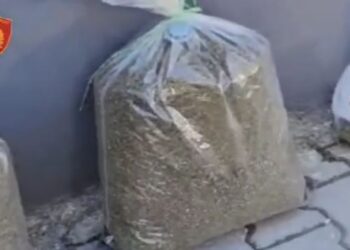 “Porosia”/ Arrestohen 3 shtetas në Elbasan, u gjenden drogë dhe armë