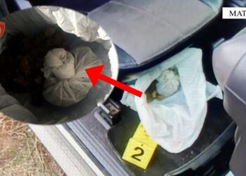 “Tempulli”/ Në pranga dy persona, shpërndanin drogë afër shkollave