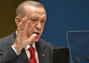 Erdogan flet me Papa Françeskun për Gazën: Sulmet në nivele masakre