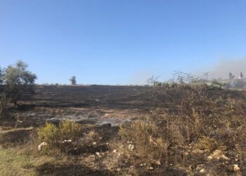 U nis për mbeturina por dogji 22 hektarë tokë në Fier, arrestohet