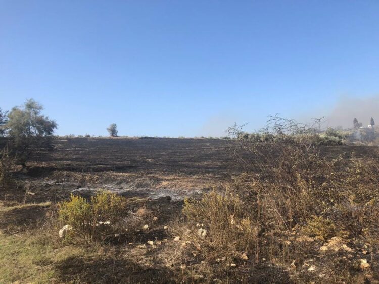 U nis për mbeturina por dogji 22 hektarë tokë në Fier, arrestohet