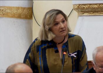 “Lufta” në PD/ Açka: Po e bëjnë 2 B të tërbuar dhe një B i vaksinuar