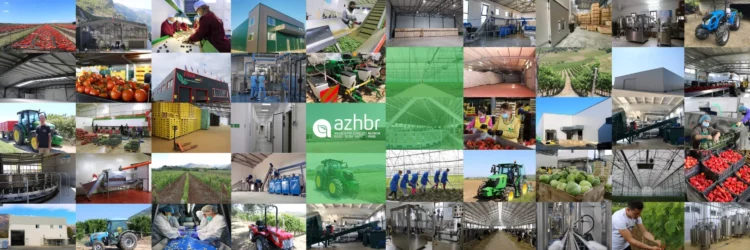 Abuzimet me fondet IPARD në Shqipëri, 82 përfitues në shkelje