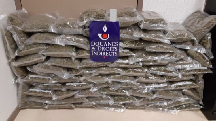 430 kg marijuanë mes shalqinjve dhe pjeprave, 4 shqiptarë në pranga