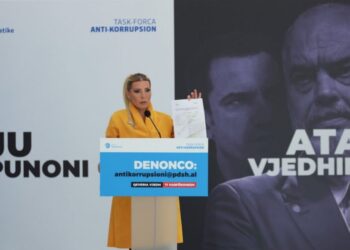 PD: Kush është drejtori në ministri që fiton miliona nga koncensionet