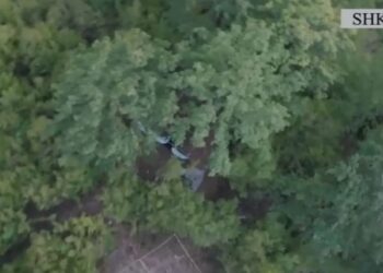 Kanabis dhe kallashnikov/ Shpallen në kërkim dy vëllezër