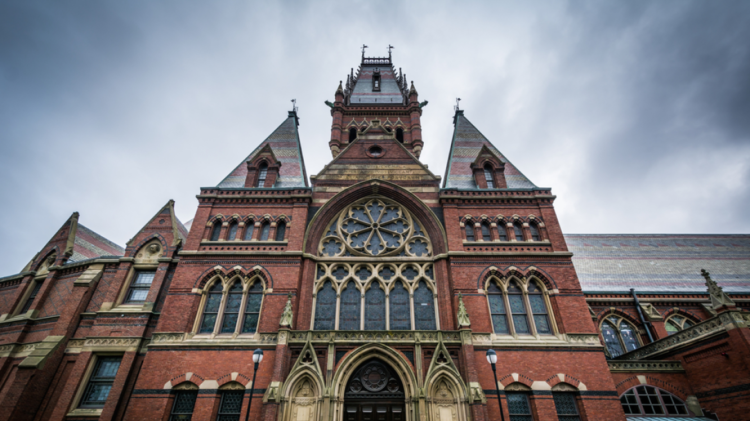 Trazira në Harvard për studentët që fajësojnë Izraelin për sulmet