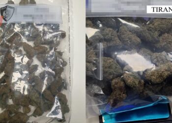 Shiste kanabis afër shkollave në Kombinat, arrestohet 24-vjeçari