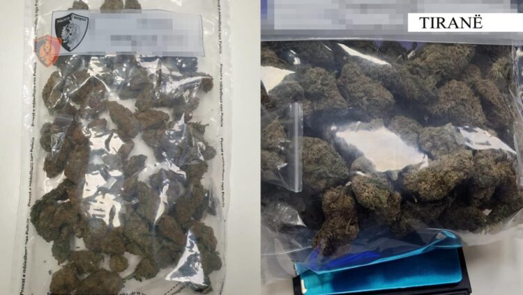 Shiste kanabis afër shkollave në Kombinat, arrestohet 24-vjeçari