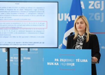 Çështja e Butrintit, Ina Zhupa: Koncesioni nuk e mbron trashëgiminë