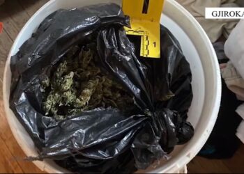 I gjenden 3 kg kanabis në banesë, arrestohet 65 vjeçari