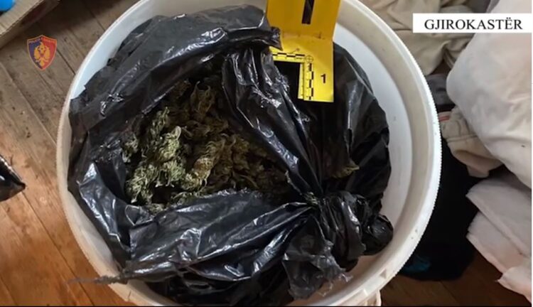 I gjenden 3 kg kanabis në banesë, arrestohet 65 vjeçari