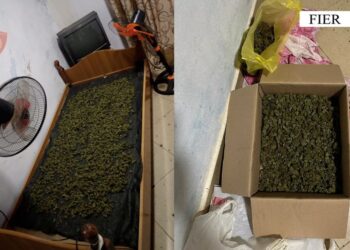 E kishte vënë kanabisin për t’u tharë, arrestohet 43 vjeçari në Fier