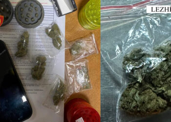 Veleshnja shpërthen ndaj Salsanos: Të lëpin gjithë kohën, spiun…