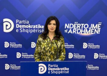 Karabina: Berisha ditën sulmon, natën merr leje ndërtimi…