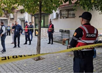 Korçë/ Plagoset me mjete të forta një grua, kapet autori